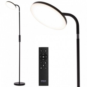 Торшер Citilux SOLO CL804061 в Ханты-Мансийске - hanty-mansiysk.ok-mebel.com | фото 2