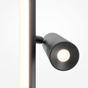 Торшер Maytoni Thin MOD395FL-L28B3K в Ханты-Мансийске - hanty-mansiysk.ok-mebel.com | фото 6