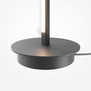 Торшер Maytoni Thin MOD395FL-L28B3K в Ханты-Мансийске - hanty-mansiysk.ok-mebel.com | фото 8