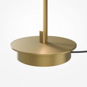 Торшер Maytoni Thin MOD395FL-L28BS3K в Ханты-Мансийске - hanty-mansiysk.ok-mebel.com | фото 7