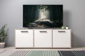 Тумба под ТВ 13.283.02 Винтаж в Ханты-Мансийске - hanty-mansiysk.ok-mebel.com | фото 3