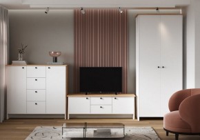 Тумба под ТВ Теодора в Ханты-Мансийске - hanty-mansiysk.ok-mebel.com | фото 4