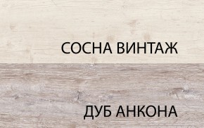 Тумба RTV 1D2SN, MONAKO, цвет Сосна винтаж/дуб анкона в Ханты-Мансийске - hanty-mansiysk.ok-mebel.com | фото 3